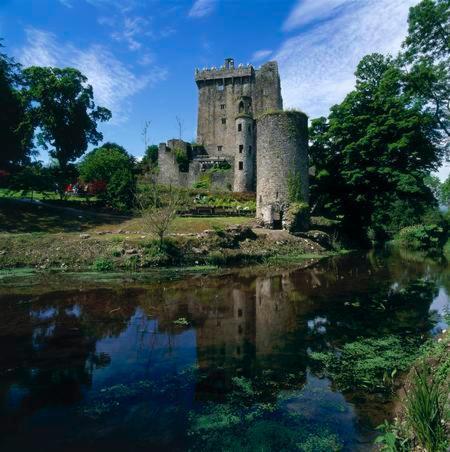 Lanesville B&B Blarney Εξωτερικό φωτογραφία